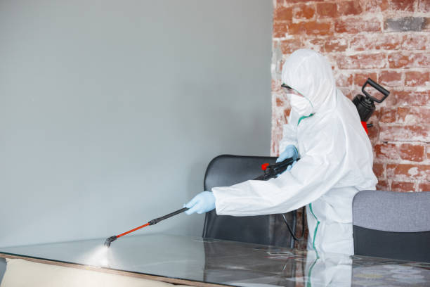 Best Residential Mold Inspection & Testing  in Lineville, AL